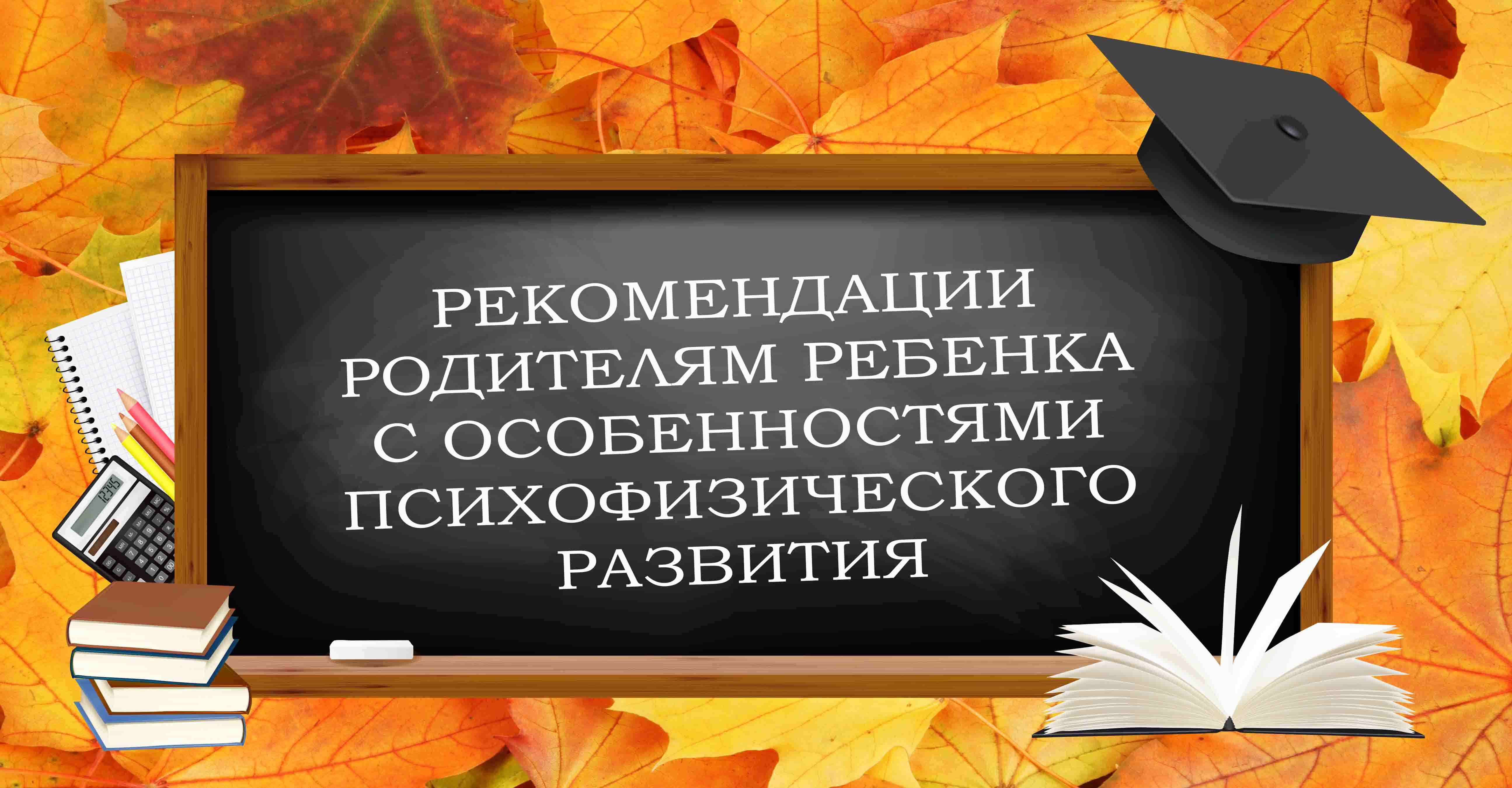 Рекомендации родителям ребенка с особенностями психофизического развития -  Колодищанская средняя школа №2